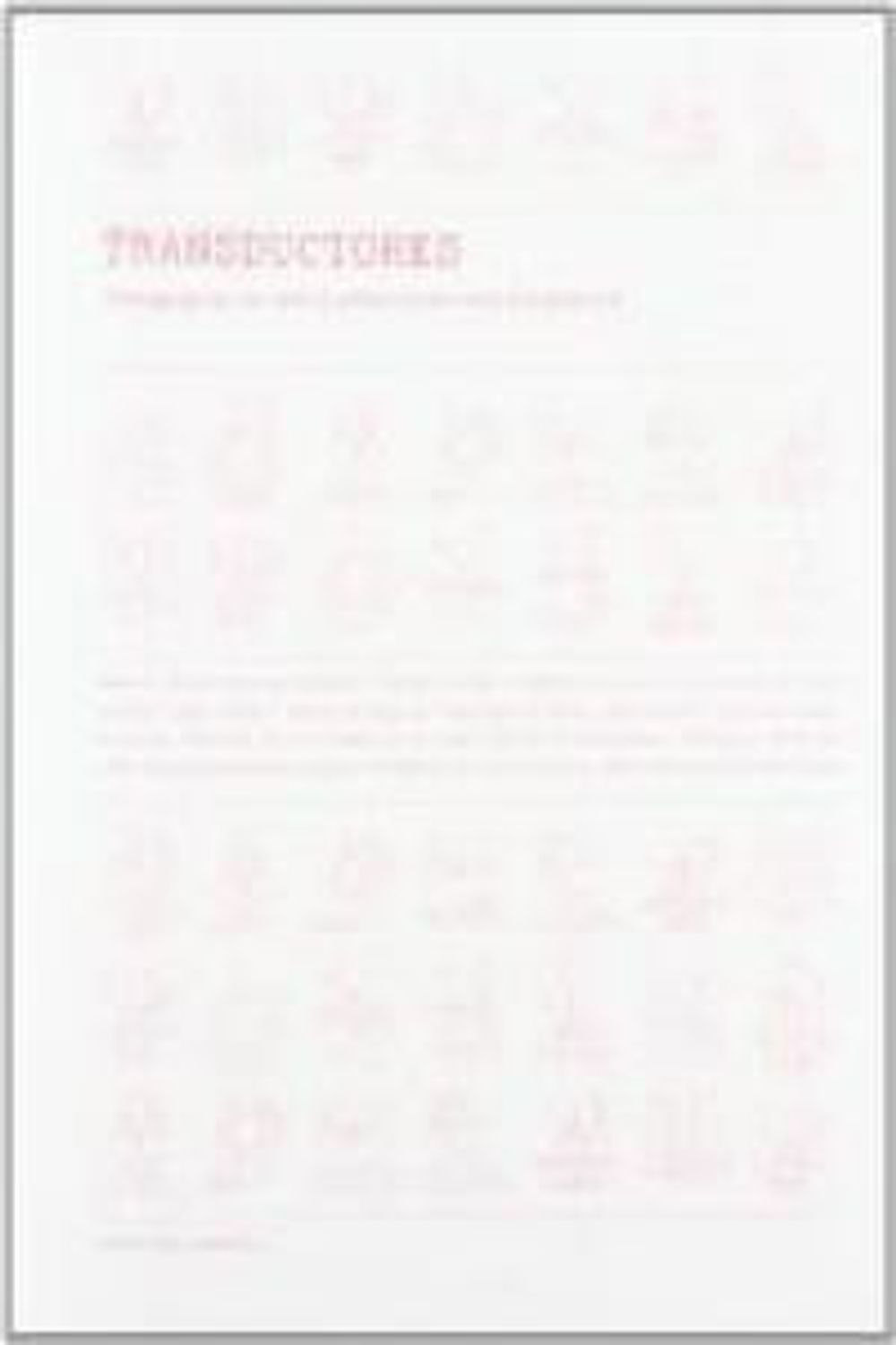 Transductores 2