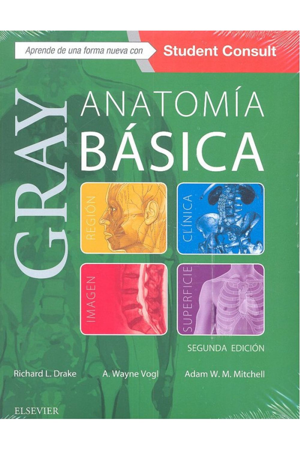 Gray Anatomia Basica 2º Ed