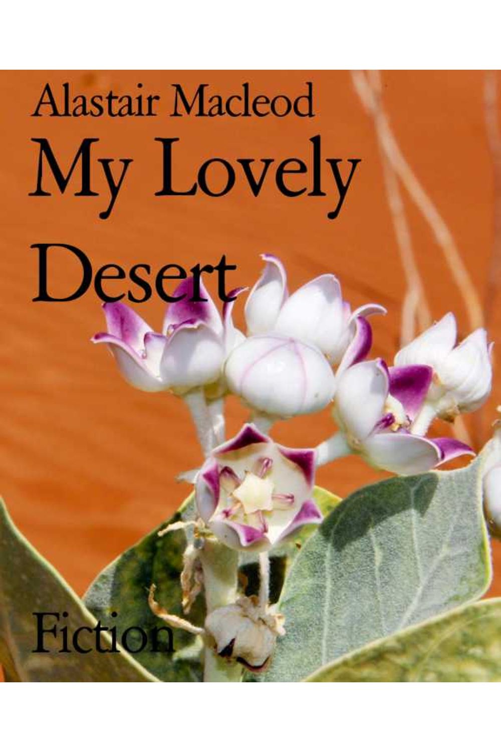 bw-my-lovely-desert-bookrix-9783739658926
