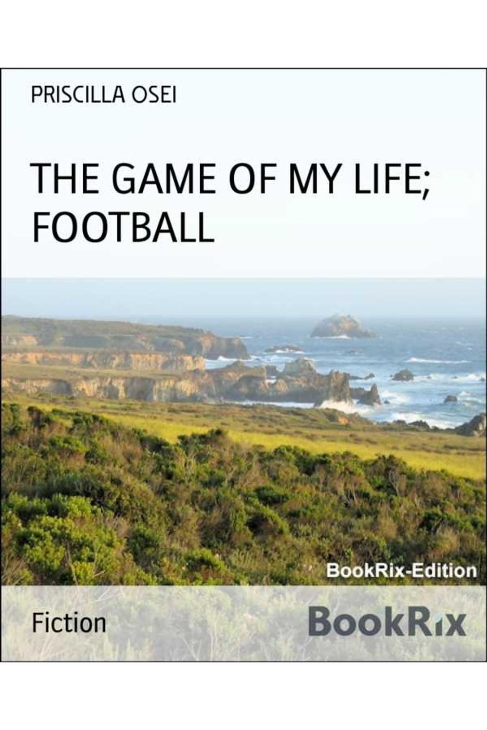 bw-the-game-of-my-life-football-bookrix-9783748749240