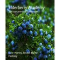 bw-elderberry-academy-bookrix-9783748766605