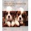 bw-pets-are-like-humans-too-bookrix-9783955007584