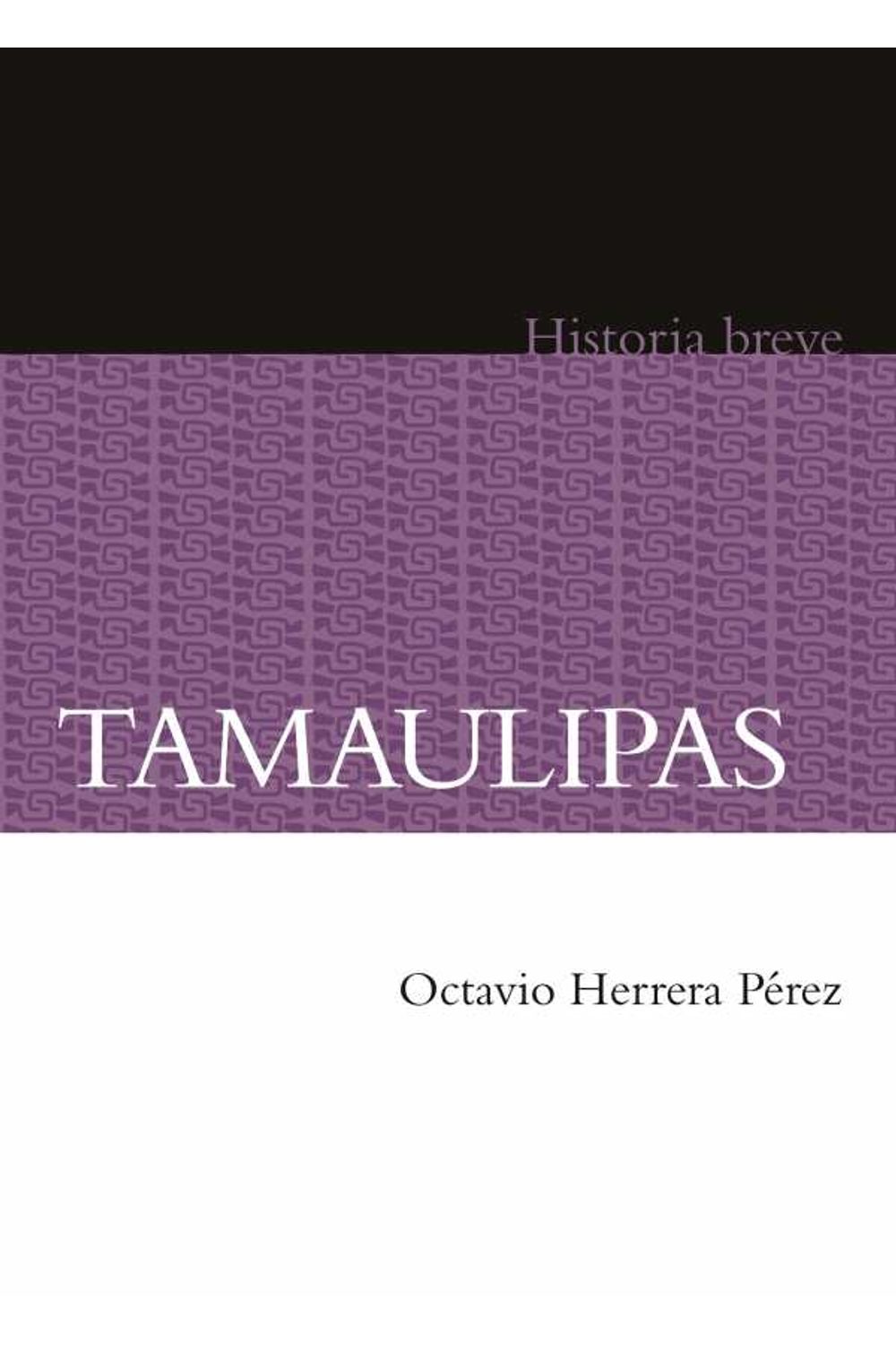 bw-tamaulipas-fondo-de-cultura-econmica-9786071640642