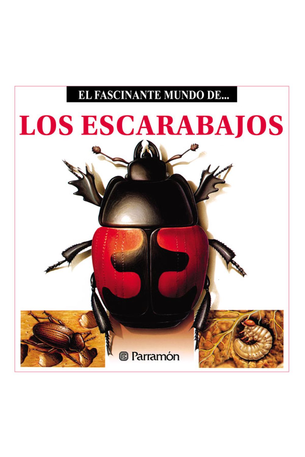 bw-los-escarabajos-parramn-paidotribo-9788499102962