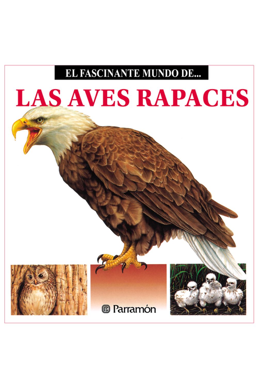 bw-las-aves-rapaces-parramn-paidotribo-9788499102993