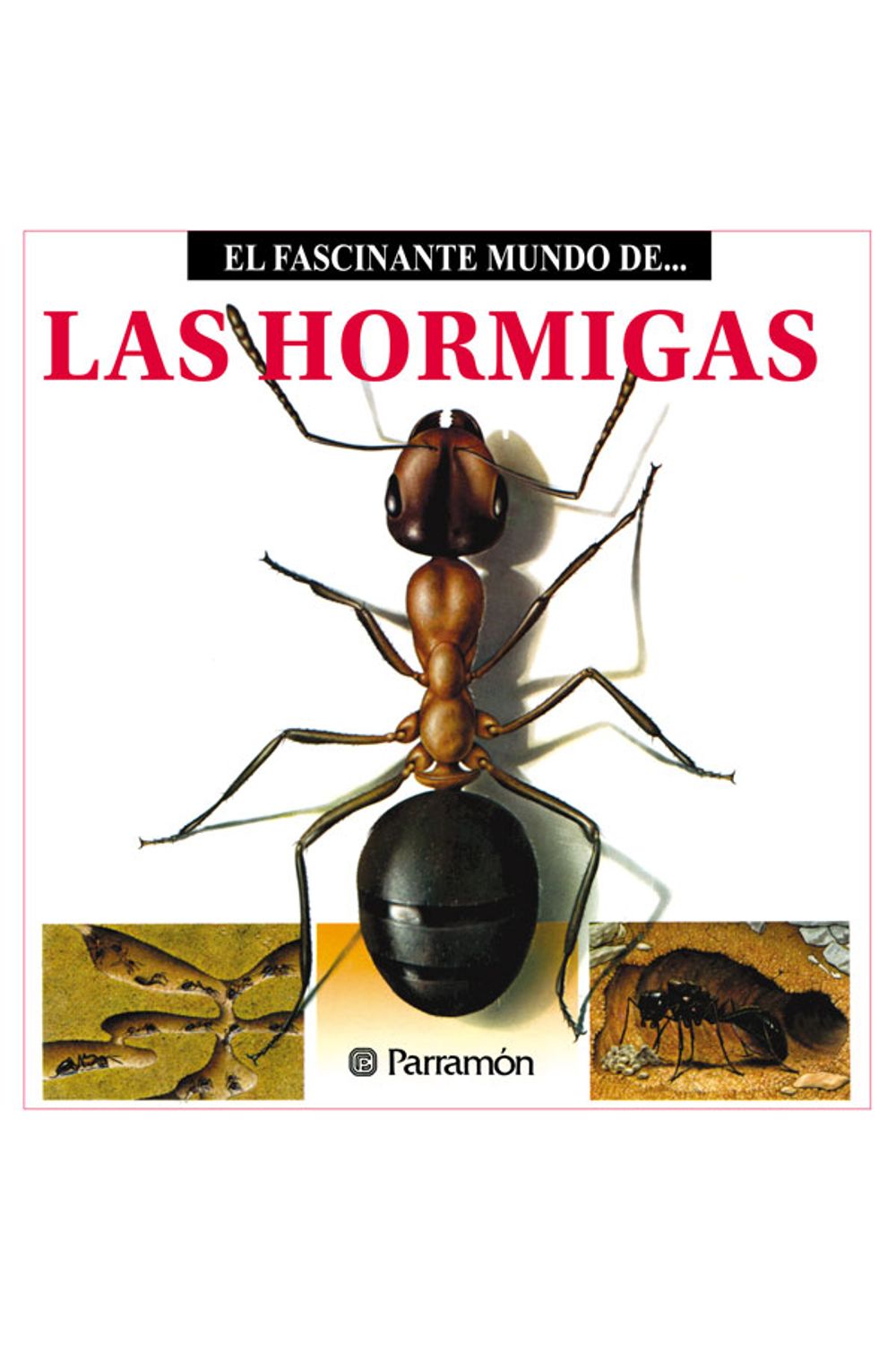 bw-las-hormigas-parramn-paidotribo-9788499103044