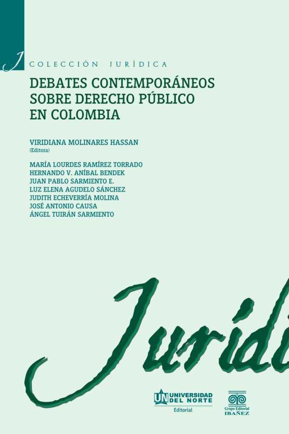 bw-debates-contemporaacuteneos-de-derecho-puacuteblico-en-colombia-u-del-norte-editorial-9789587416145