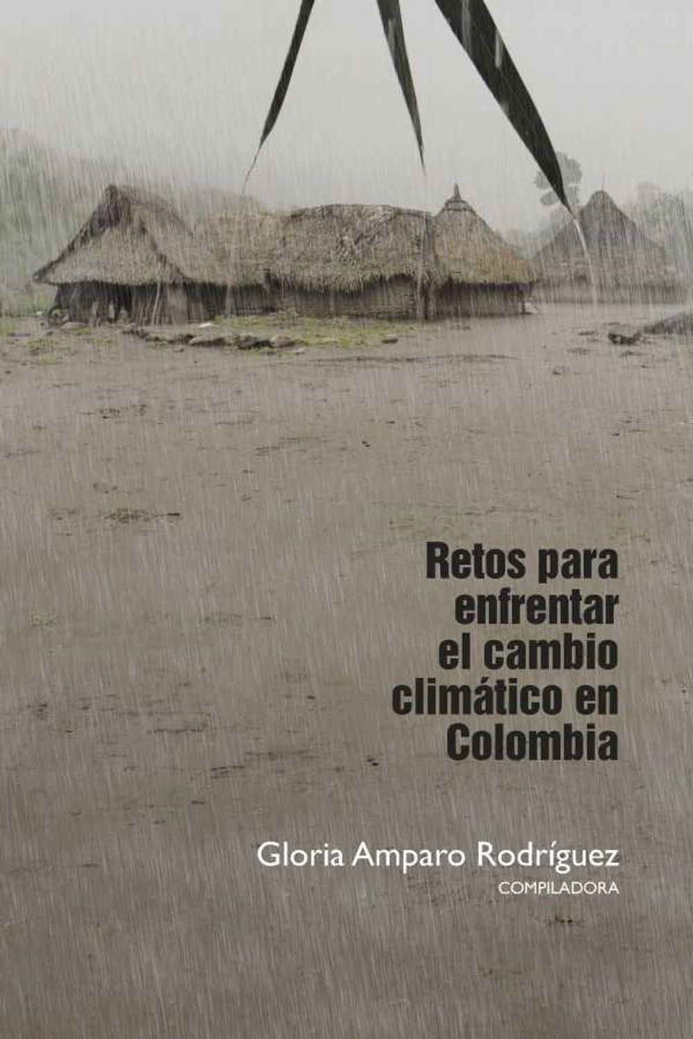 bw-retos-para-enfrentar-el-cambio-climaacutetico-en-colombia-editorial-universidad-del-rosario-9789587845297