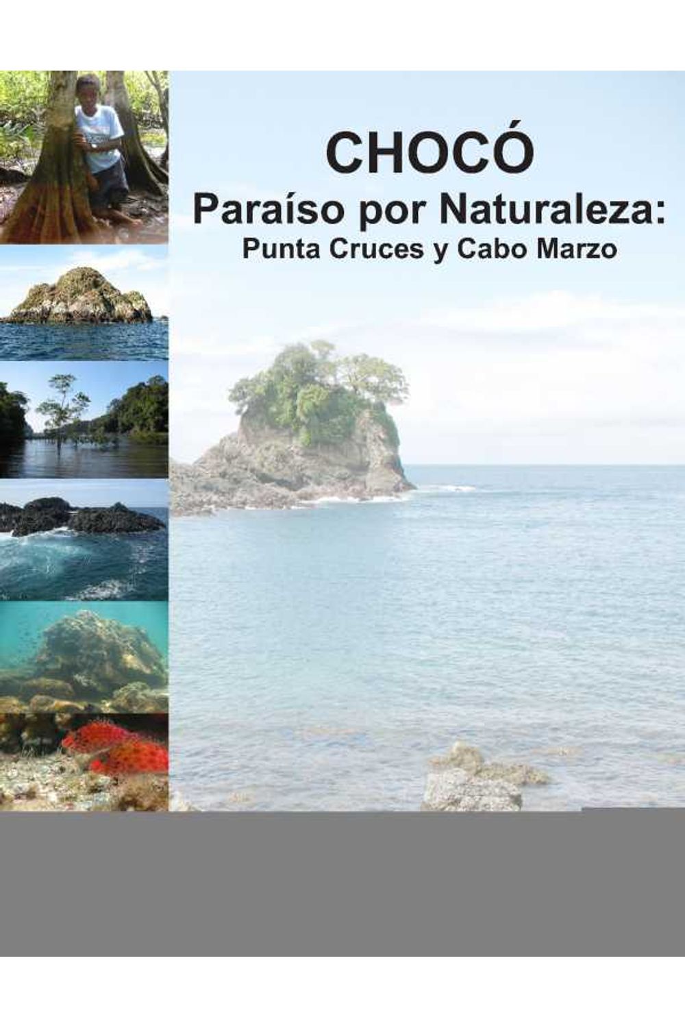 bw-chocoacute-paraiacuteso-por-naturaleza-programa-editorial-universidad-del-valle-9789585164857