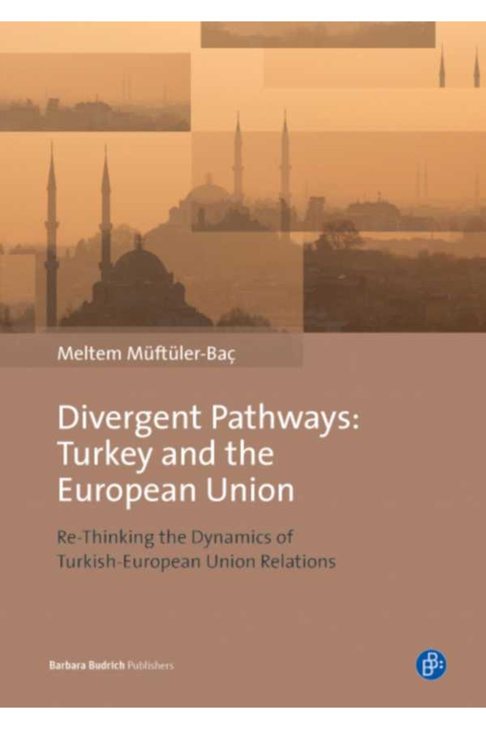 bw-divergent-pathways-turkey-and-the-european-union-verlag-barbara-budrich-9783847402954
