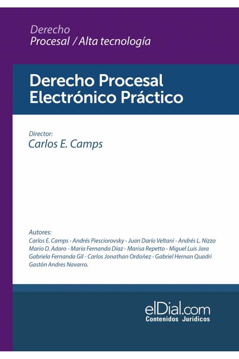 bw-derecho-procesal-electroacutenico-praacutectico-eldialcom-9789878343327