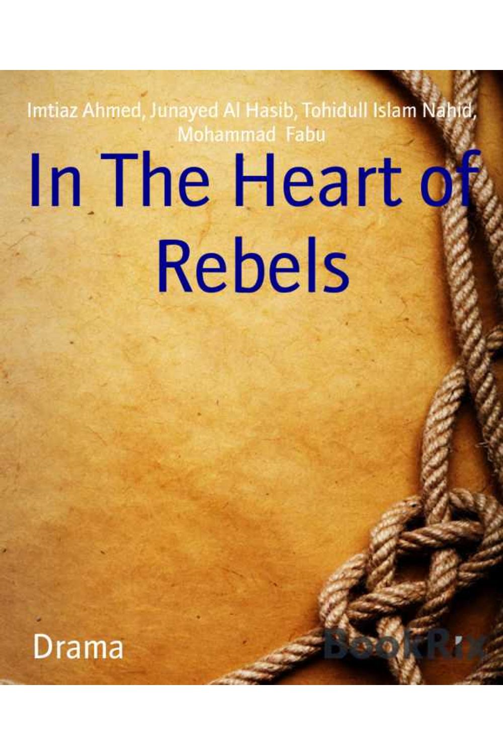 bw-in-the-heart-of-rebels-bookrix-9783748791874