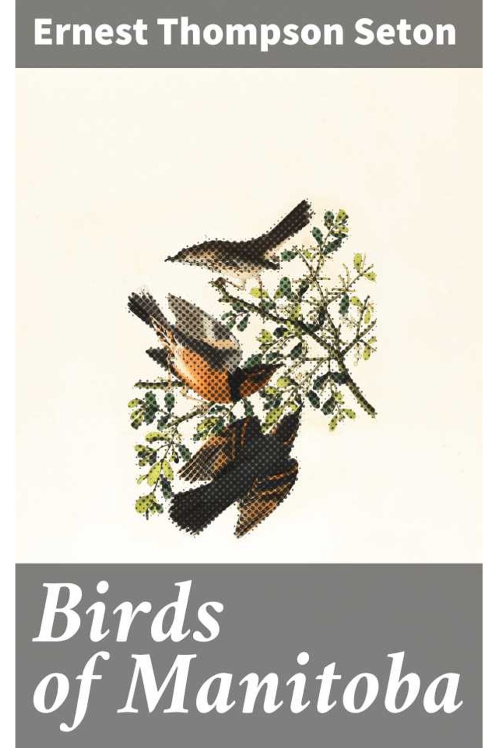 bw-birds-of-manitoba-good-press-4064066353896