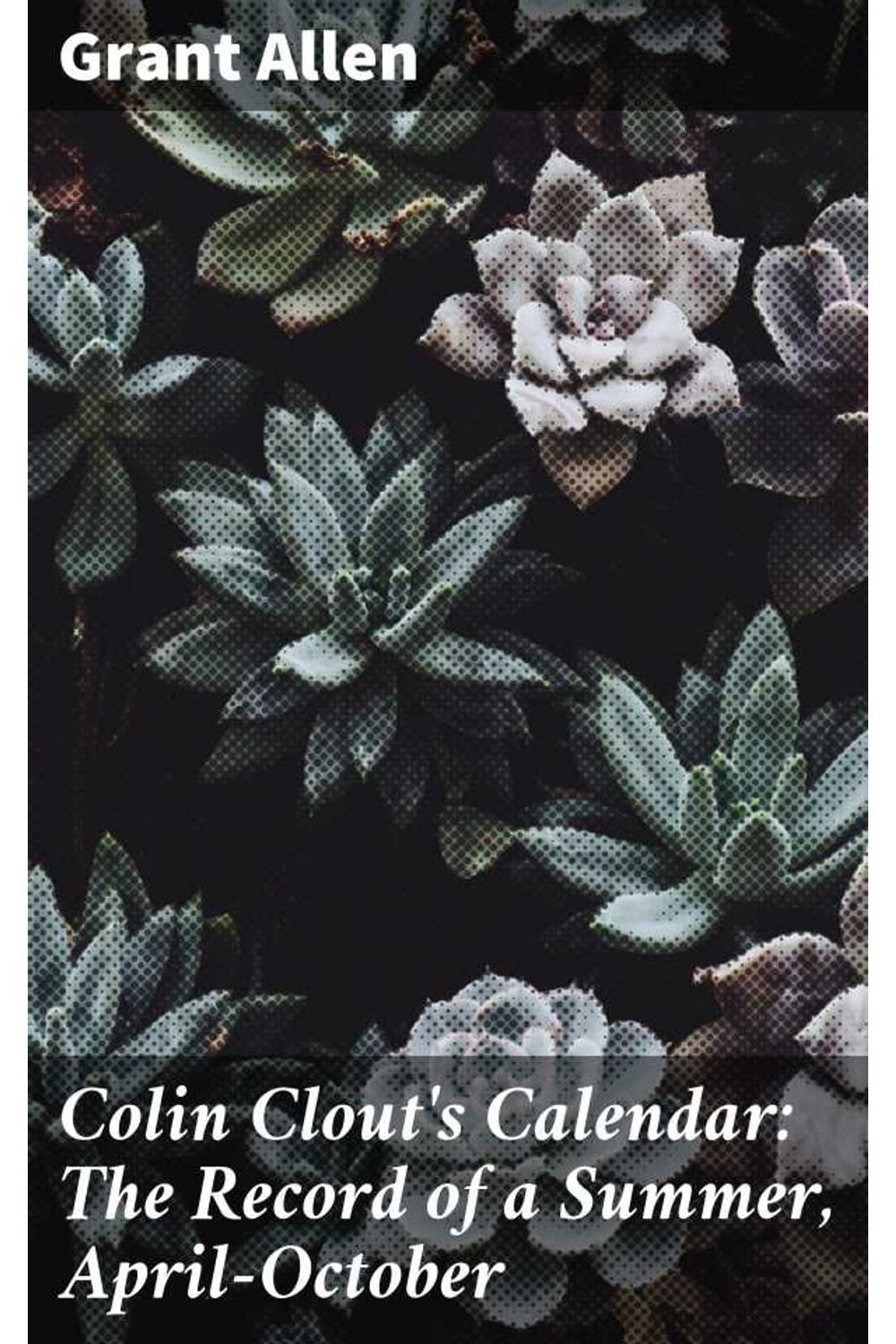 bw-colin-clouts-calendar-the-record-of-a-summer-apriloctober-good-press-4064066363635