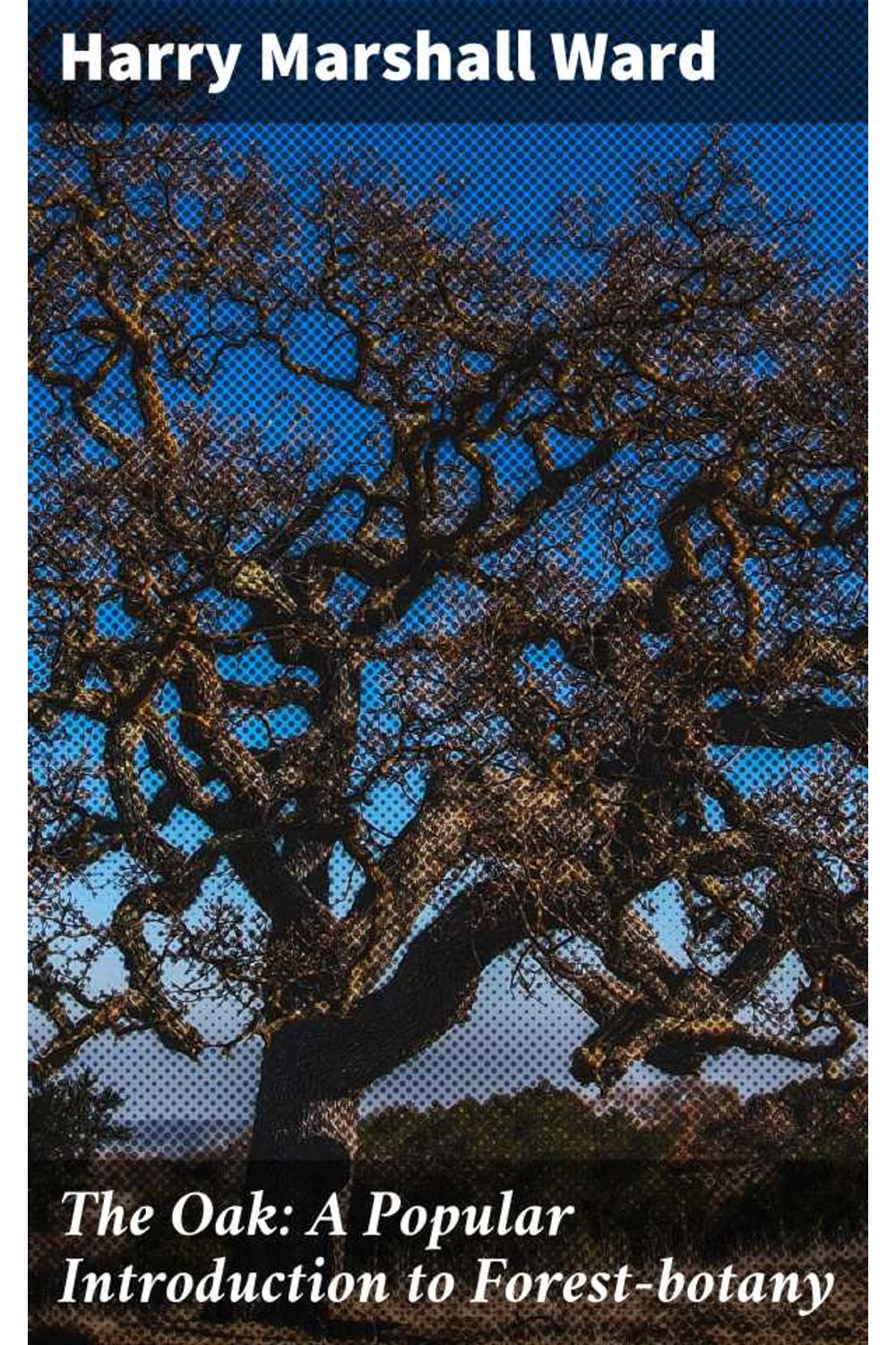 bw-the-oak-a-popular-introduction-to-forestbotany-good-press-4064066442682