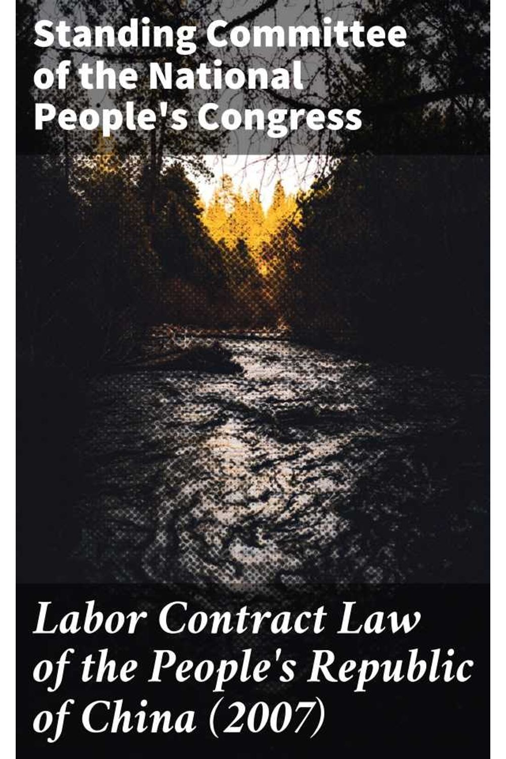 bw-labor-contract-law-of-the-peoples-republic-of-china-2007-good-press-4064066467036