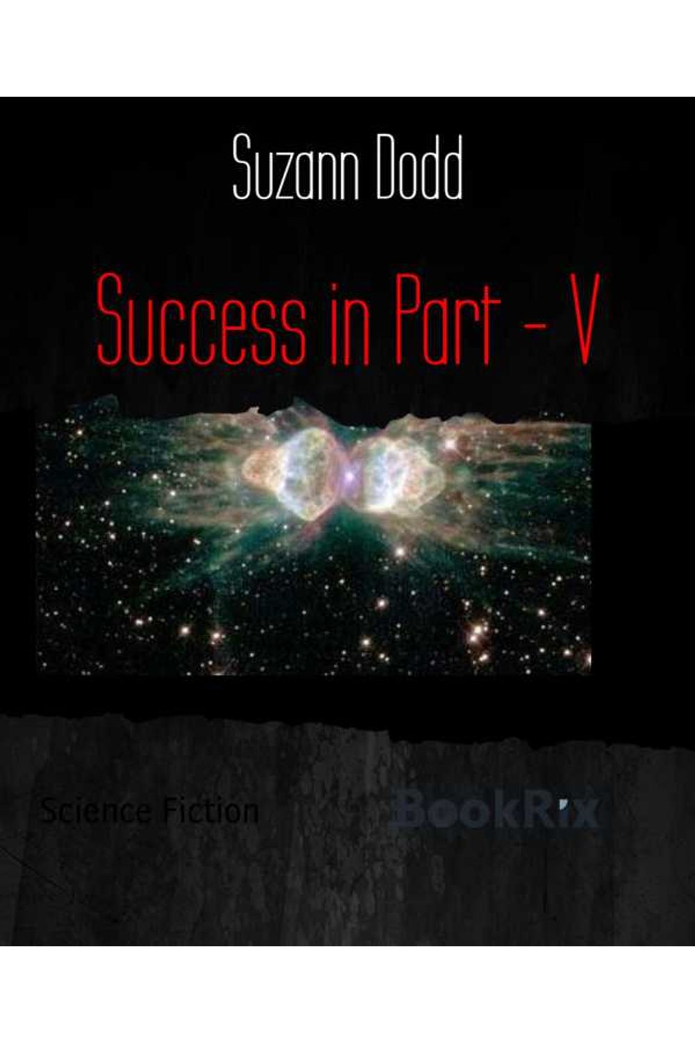 bw-success-in-part-v-bookrix-9783755403203