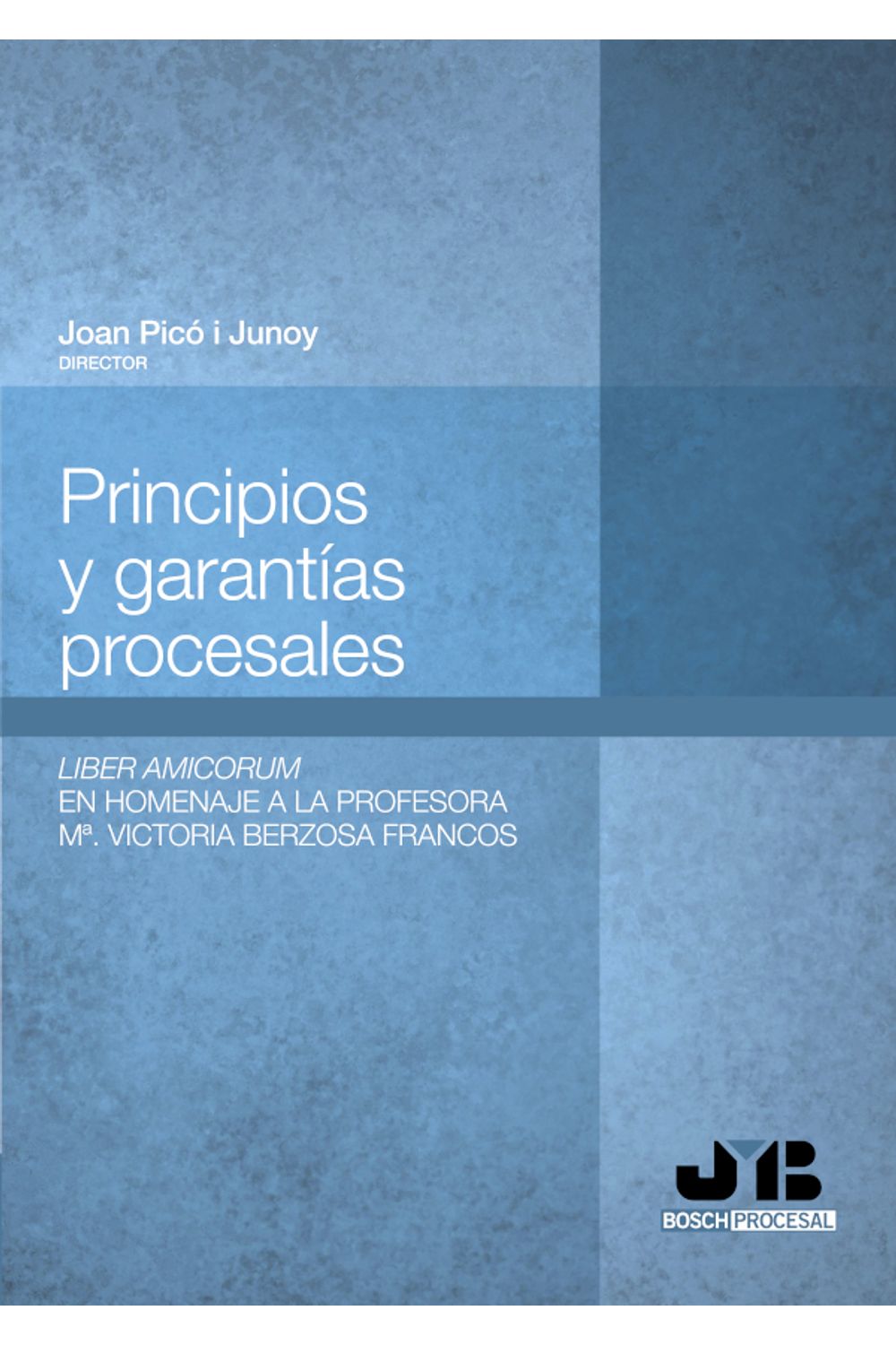 bm-principios-y-garantias-procesales-jm-bosch-editor-9788494130496