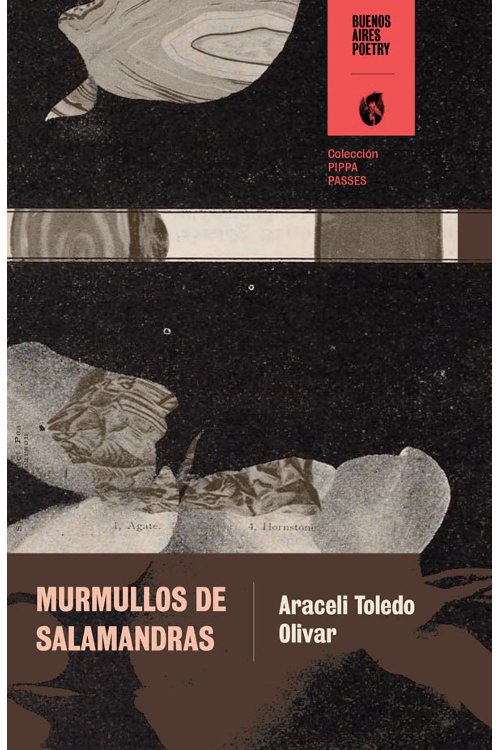 bm-murmullos-de-salamandras-buenosaires-poetry-9789874197634