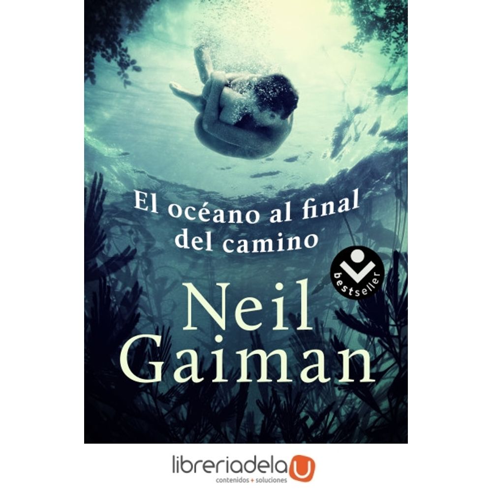 ag-el-oceano-al-final-del-camino-roca-