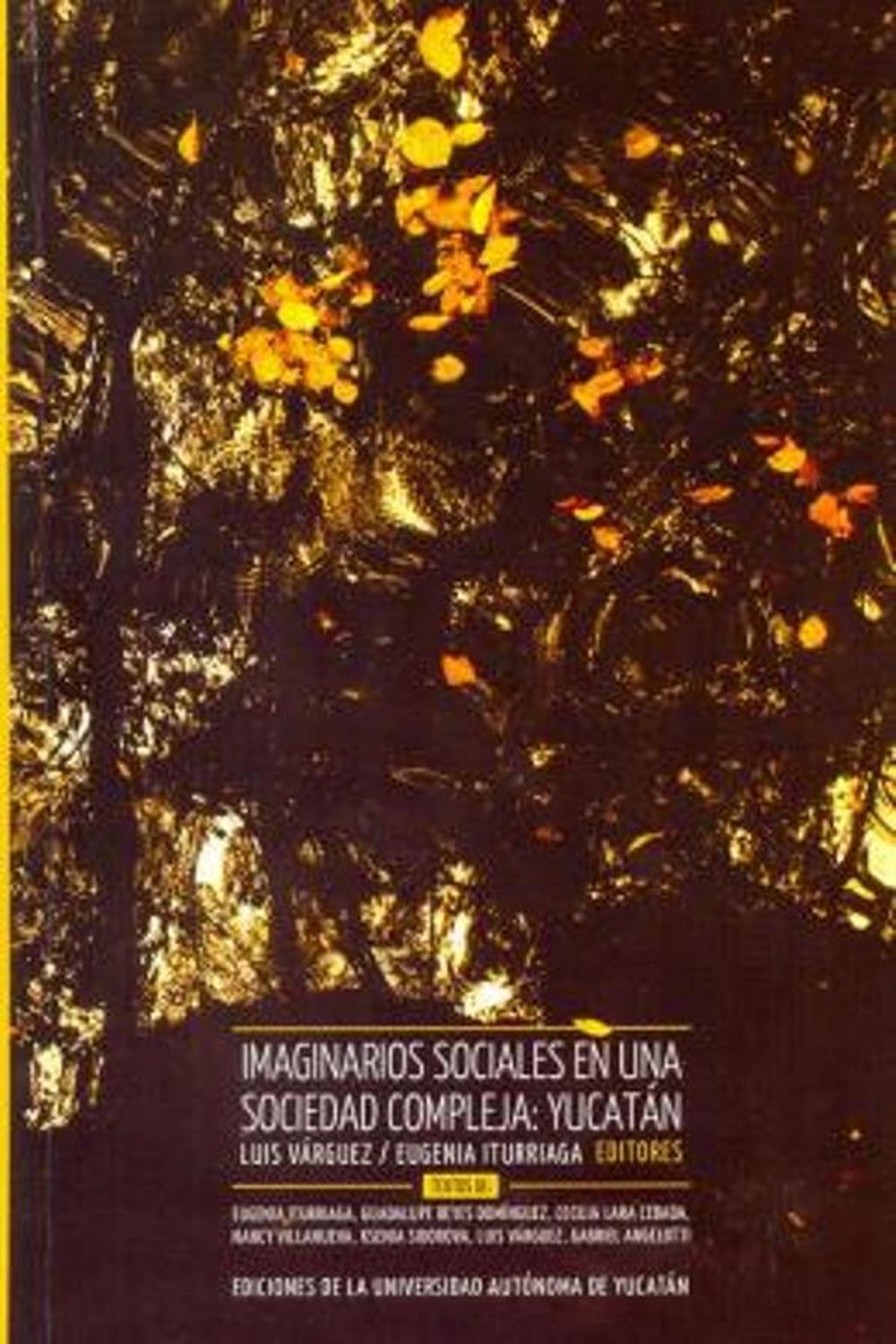 bm-imaginarios-sociales-en-una-sociedad-compleja-yucatan-universidad-autonoma-de-yucatan-uady-9786078191772